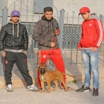 Spoo pow sur yala.fm